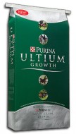 Ultium Green Ultium Green e1332453784717 Horse