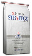 strategy feed strategy feed e1332453547106 Horse