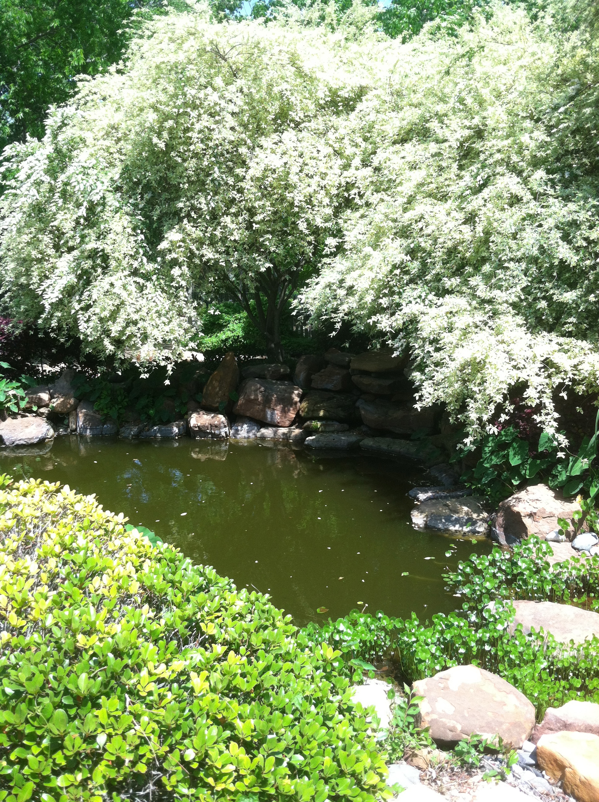 Trinity Gardens is located in Fairview Texas