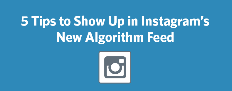 Instagram's New Algorithm Feed