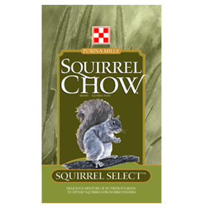SquirrelChow
