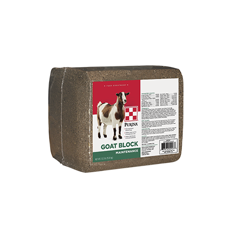 Purina Goat Block ( lb size)