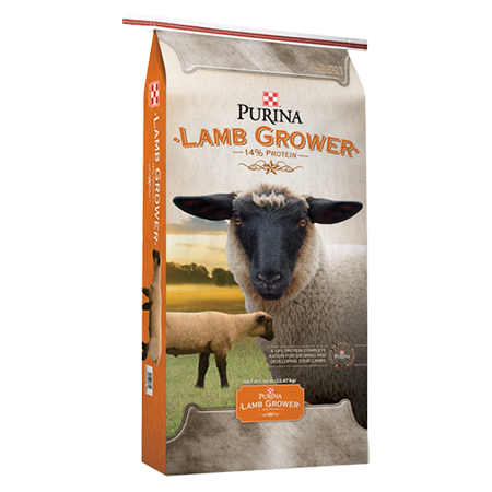 Purina Lamb Grower ( lb size)