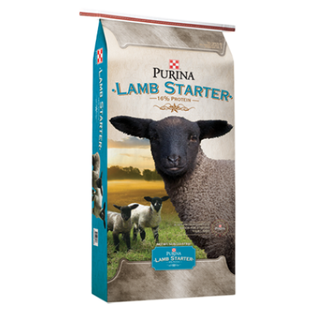 Purina Lamb Starter ( lb size)