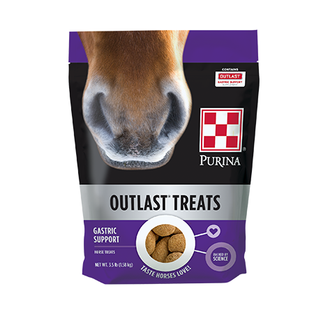 Purina Outlast Horse Treats ( lb size)
